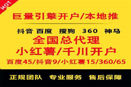 某电商平台的SEM策略与效果展示